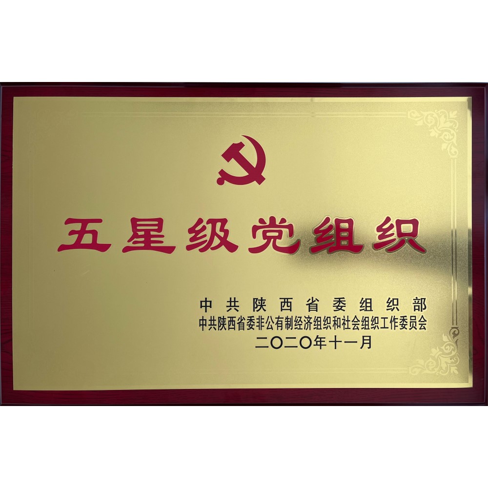 五星级党支部
