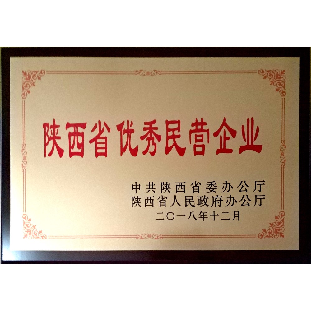 陕西省优秀民营企业