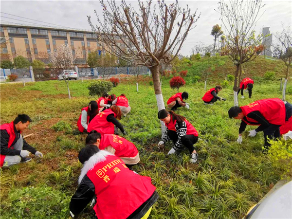 绿化环境 美化人生”——普瑞达开展植树节活动